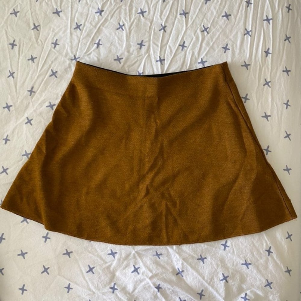 Zara Mini Skirt